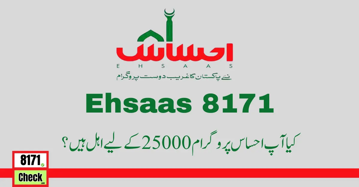Why You Are Not Eligible for the Ehsaas Program 25000 2024-25