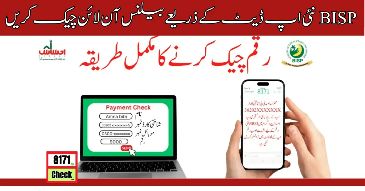 BISP Check Balance Online Through CNIC New Update 2024