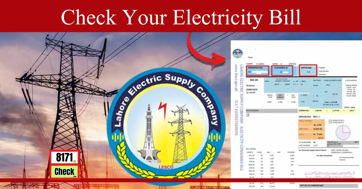 Check Your Electricity Bill