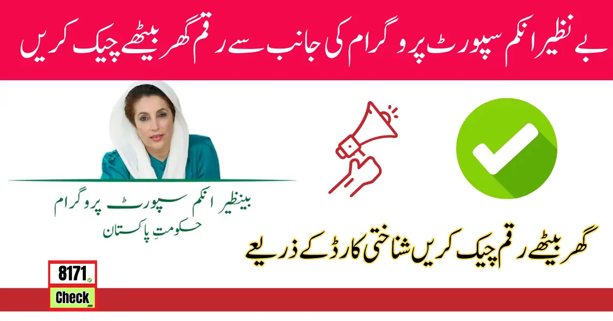 Benazir Income Support Programme New Payment Check Online