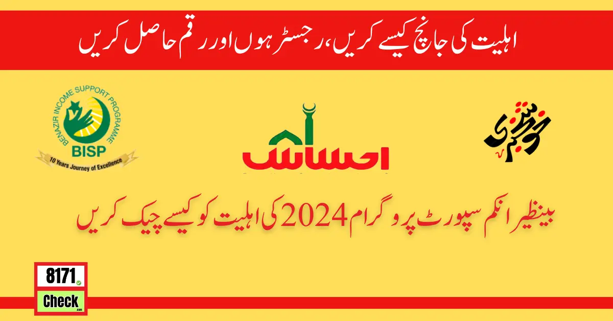 How to Check Benazir Income Support Programme 2024 Eligibility
