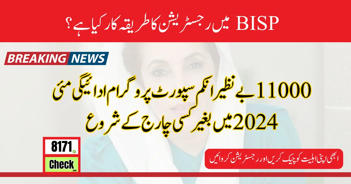 11000 BISP Payment Start In May 2024 Latest Method Without any Charges
